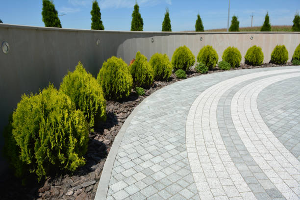 Best Decorative Driveway Pavers  in Fulton, NY